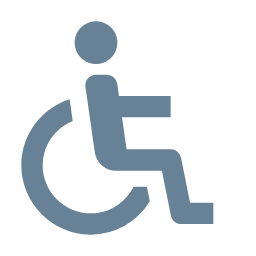 Accesso disabili
